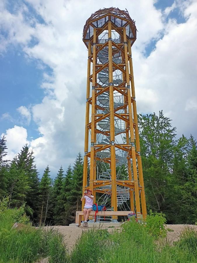 Rodinny "Hotel U Mustku" Desná Esterno foto
